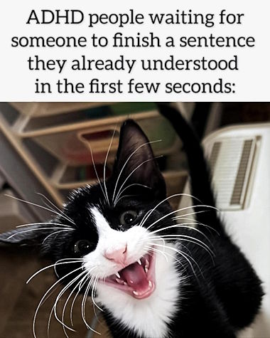 ADHD people waiting for someone to finish a sentence they already understood in the first few seconds *photo of a tiny black and white kitten screaming cutely*